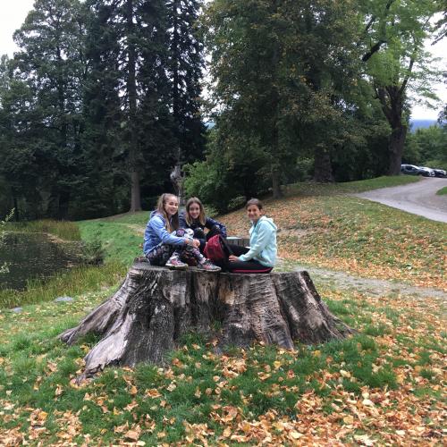 Wandertag 4ab - Moosalm
