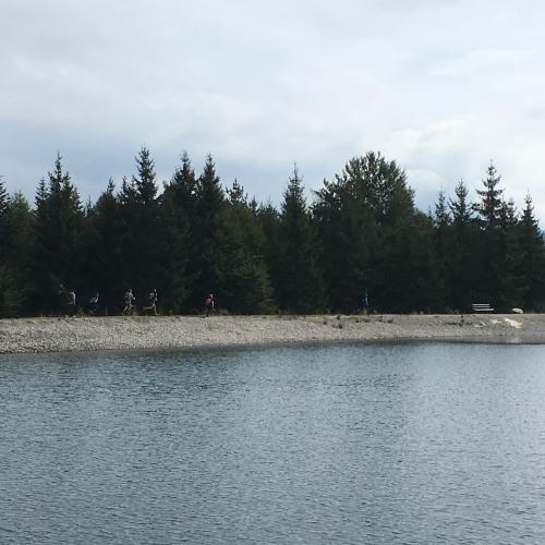 Wandertag 4ab - Moosalm