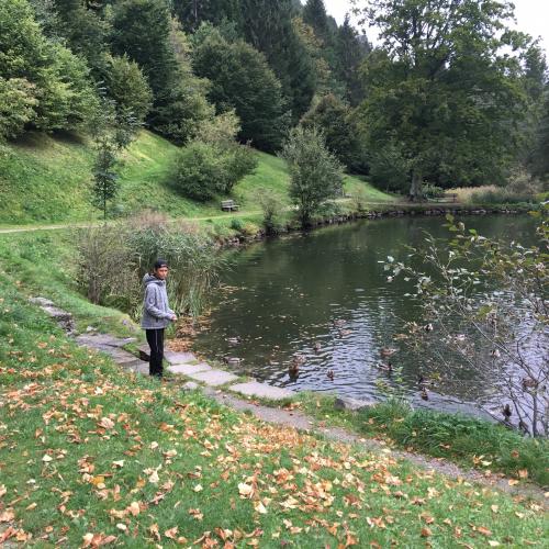Wandertag 4ab - Moosalm