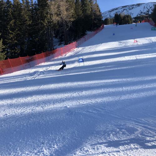 LMS SKI