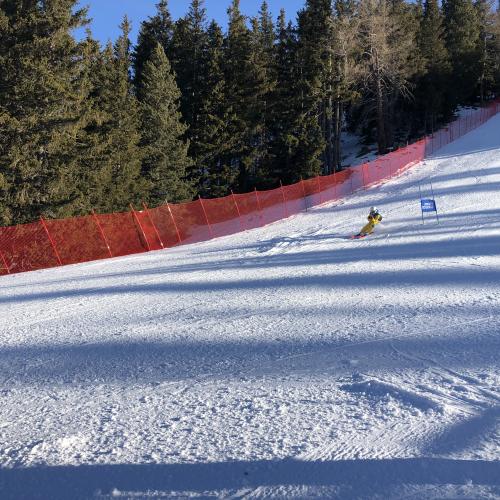 LMS SKI