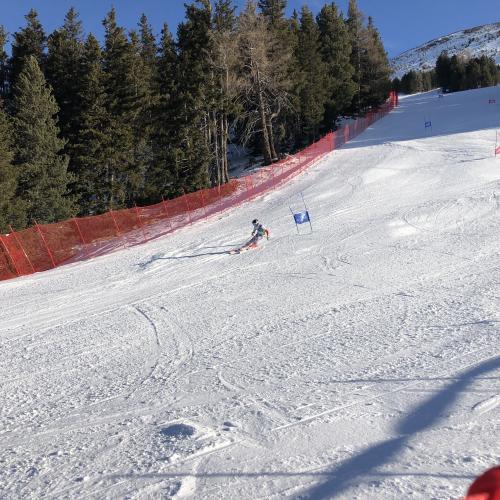 LMS SKI