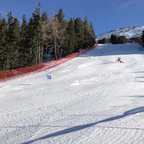LMS SKI