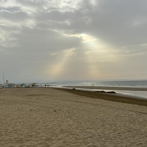 lignano