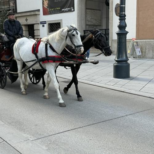 wien