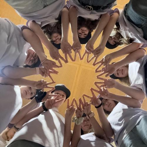 teamoll
