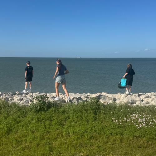 Strand