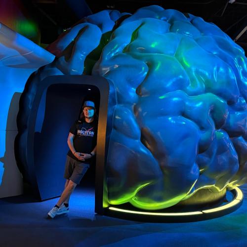 Brain