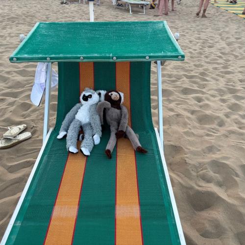 Lignano_24_25