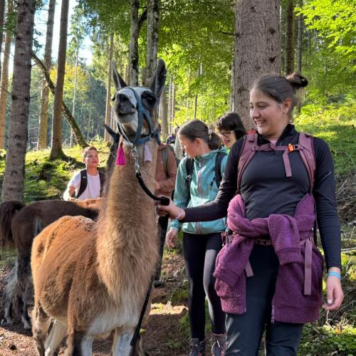 lama