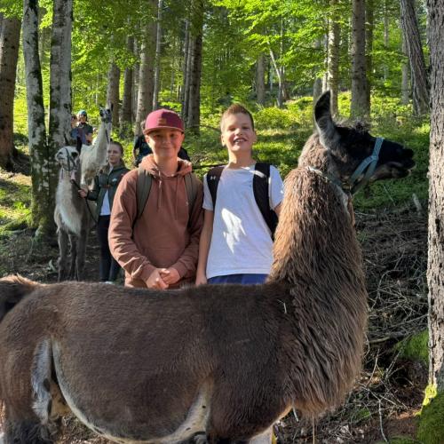 lama