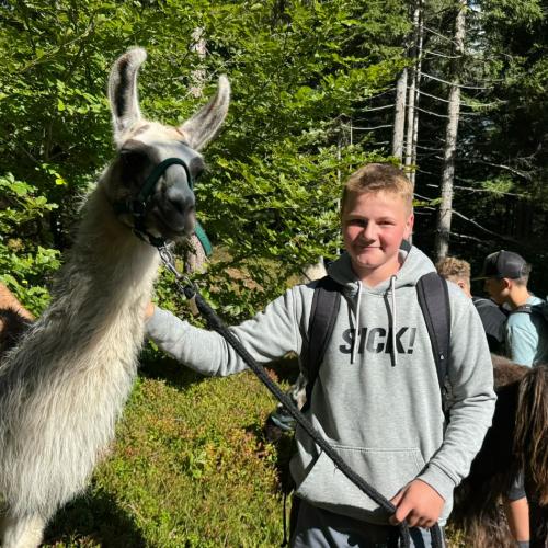 lama