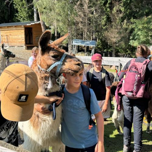 lama