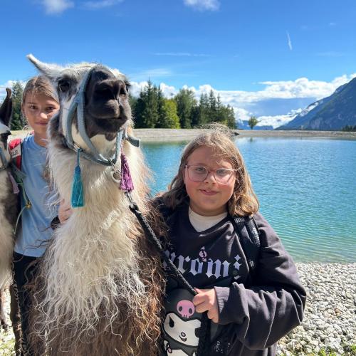 Lama 2025