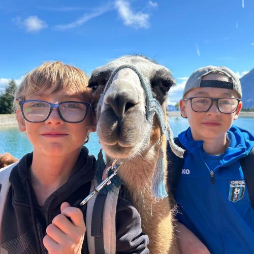 Lama 2025