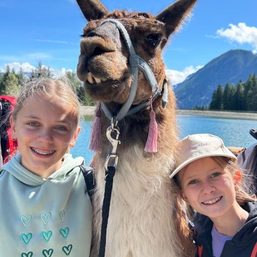 Lama 2025