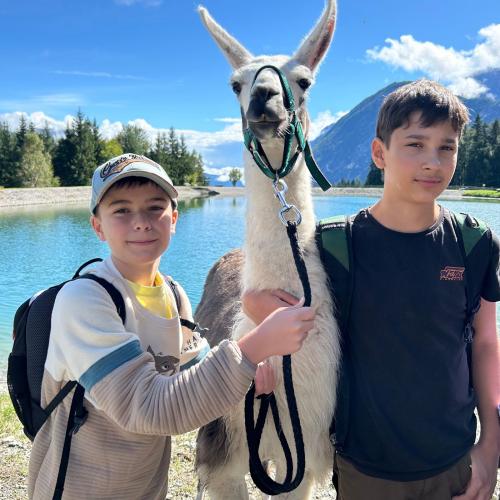 Lama 2025