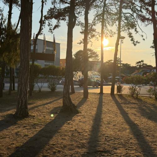 lignano
