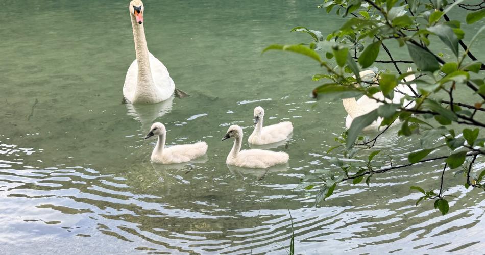 Wandertag